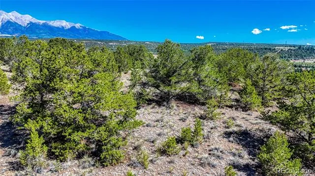 7382 Heavenly View Parkway Salida, CO 81201