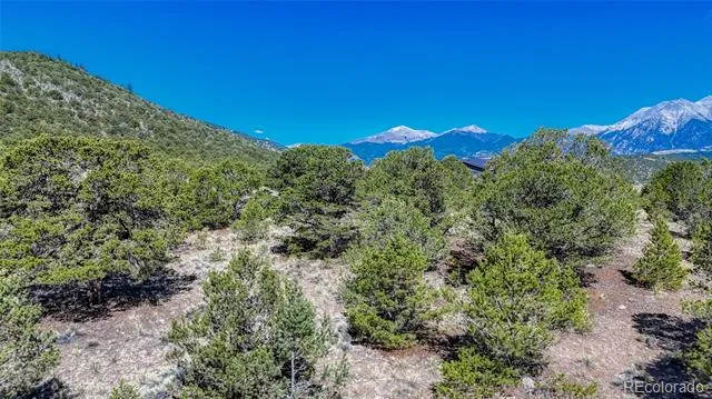 7382 Heavenly View Parkway Salida, CO 81201