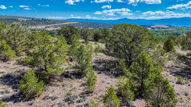 7382 Heavenly View Parkway Salida, CO 81201