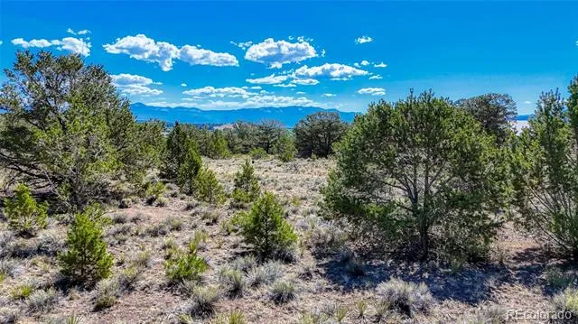 7382 Heavenly View Parkway Salida, CO 81201