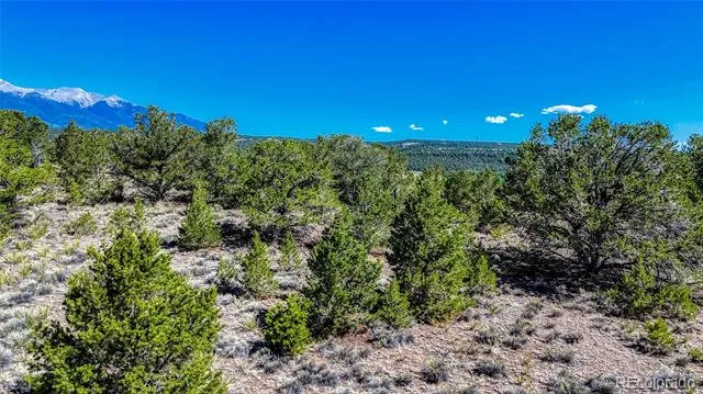 7382 Heavenly View Parkway Salida, CO 81201