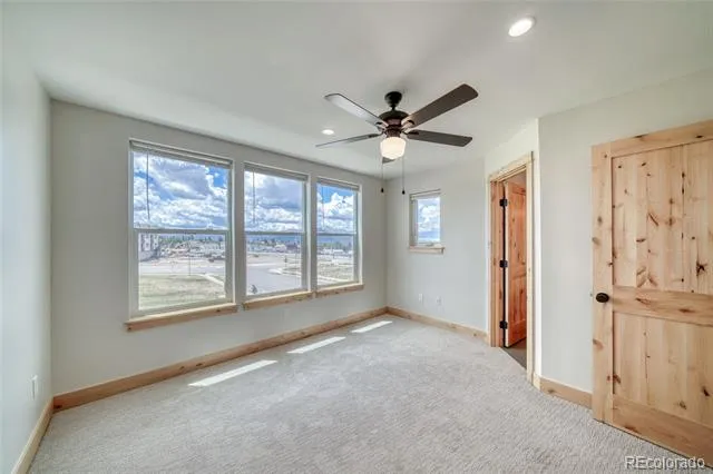 300 McClary Park Leadville, CO 80461