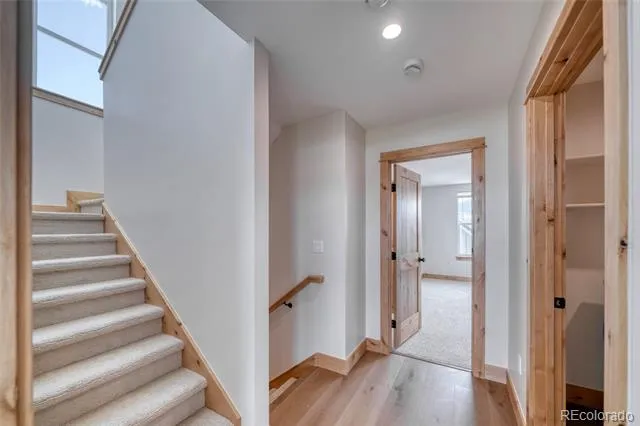 300 McClary Park Leadville, CO 80461