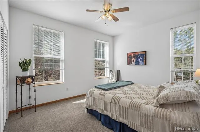 34155 Grouse Lane Evergreen, CO 80439