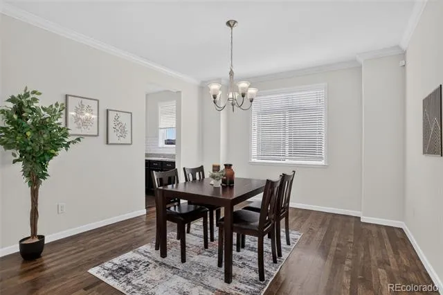1205 Bonnyton Place Castle Rock, CO 80104
