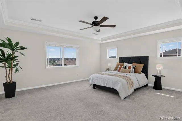 1205 Bonnyton Place Castle Rock, CO 80104