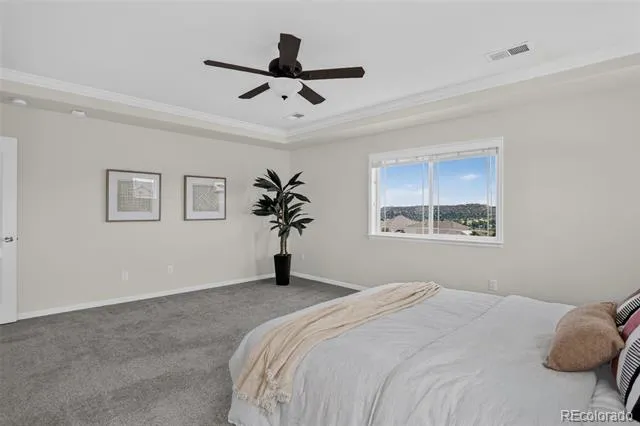 1205 Bonnyton Place Castle Rock, CO 80104