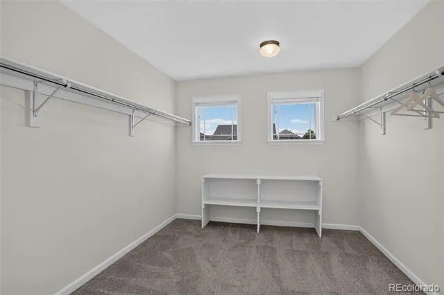 1205 Bonnyton Place Castle Rock, CO 80104
