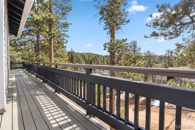 396 Mohawk Heights Florissant, CO 80816
