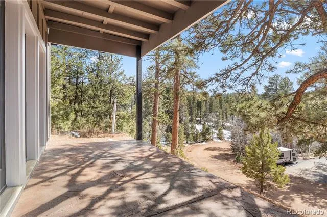 396 Mohawk Heights Florissant, CO 80816