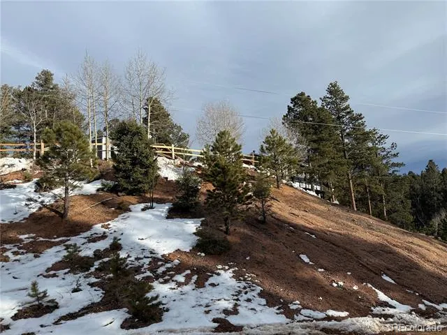 396 Mohawk Heights Florissant, CO 80816