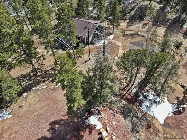 396 Mohawk Heights Florissant, CO 80816