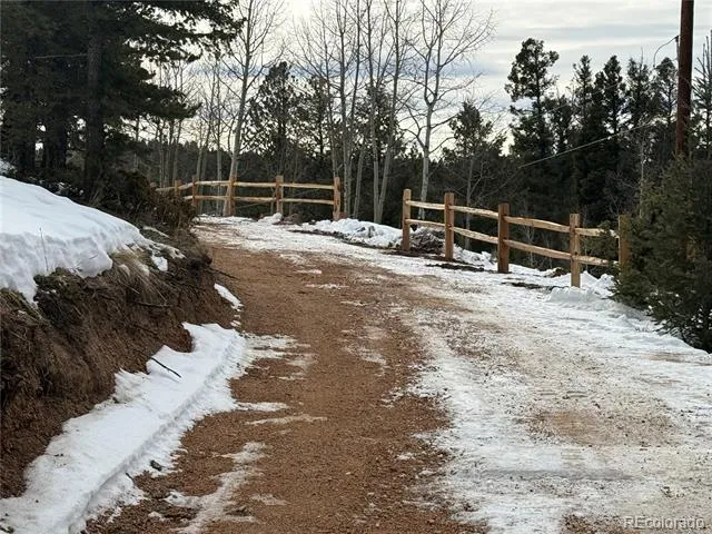 396 Mohawk Heights Florissant, CO 80816