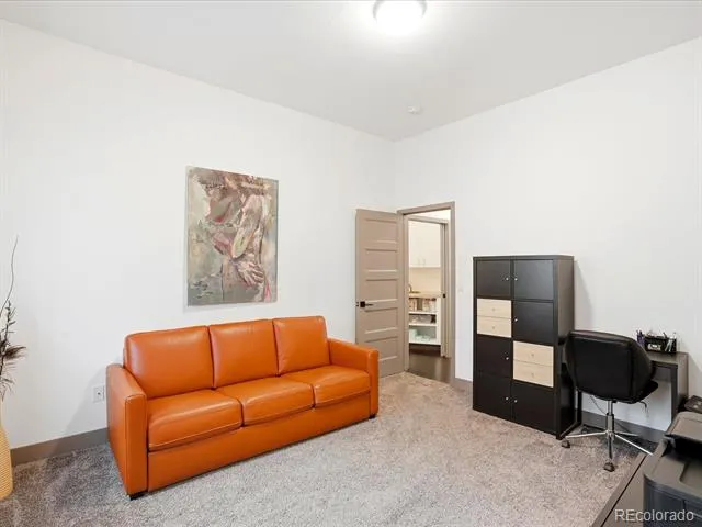 5809 S Skyline Drive Evergreen, CO 80439