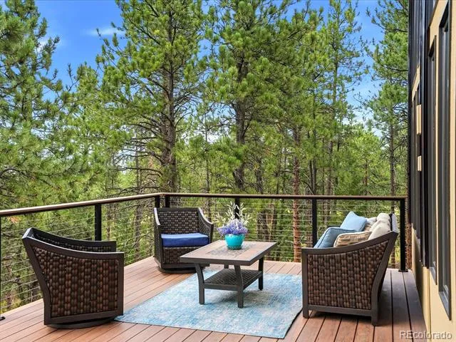 5809 S Skyline Drive Evergreen, CO 80439