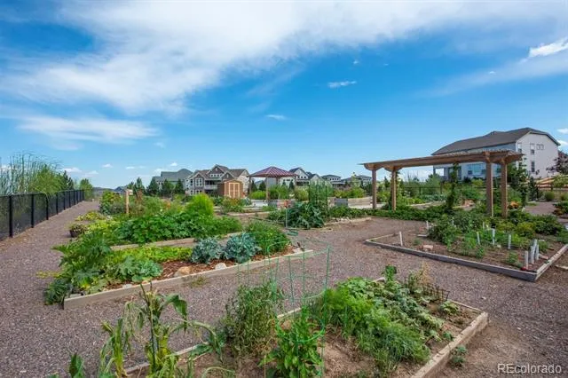 19056 W 94th Avenue Arvada, CO 80007