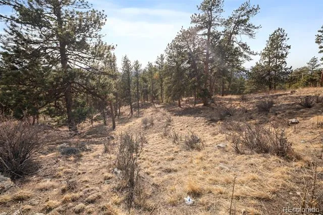 260 Bailey Drive Bailey, CO 80421