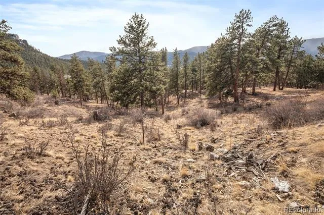 260 Bailey Drive Bailey, CO 80421
