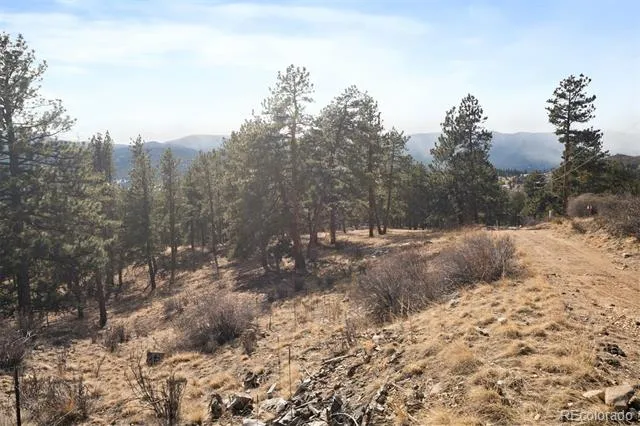 260 Bailey Drive Bailey, CO 80421