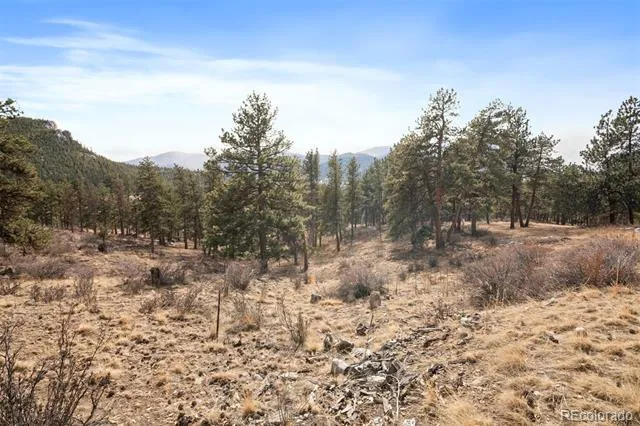 260 Bailey Drive Bailey, CO 80421