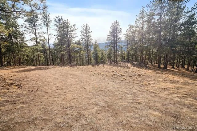 260 Bailey Drive Bailey, CO 80421