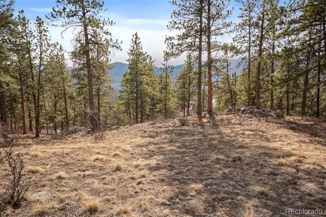 260 Bailey Drive Bailey, CO 80421