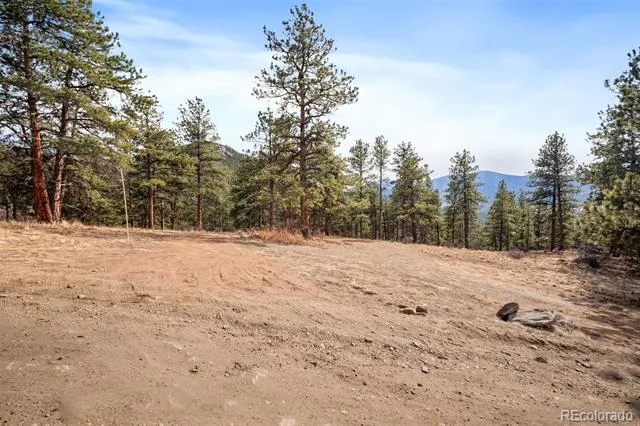 260 Bailey Drive Bailey, CO 80421