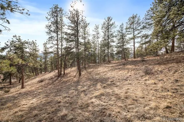 260 Bailey Drive Bailey, CO 80421
