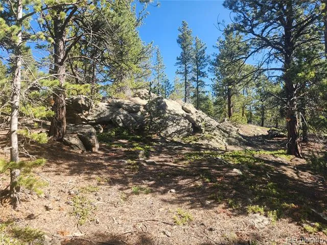 13 Paradise Valley Parkway Black Hawk, CO 80422