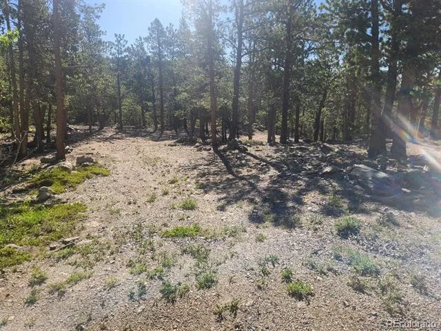 13 Paradise Valley Parkway Black Hawk, CO 80422