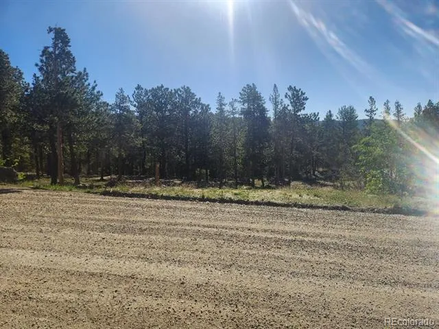 13 Paradise Valley Parkway Black Hawk, CO 80422