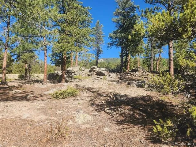 13 Paradise Valley Parkway Black Hawk, CO 80422