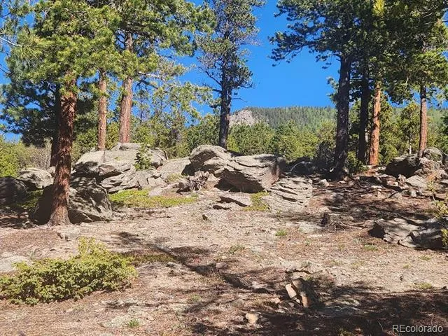 13 Paradise Valley Parkway Black Hawk, CO 80422