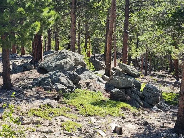 13 Paradise Valley Parkway Black Hawk, CO 80422