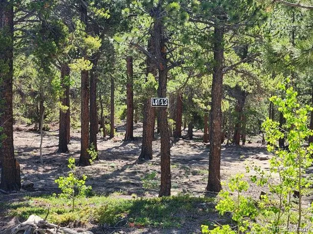 13 Paradise Valley Parkway Black Hawk, CO 80422