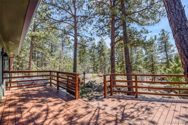 12276 Styve Road Conifer, CO 80433