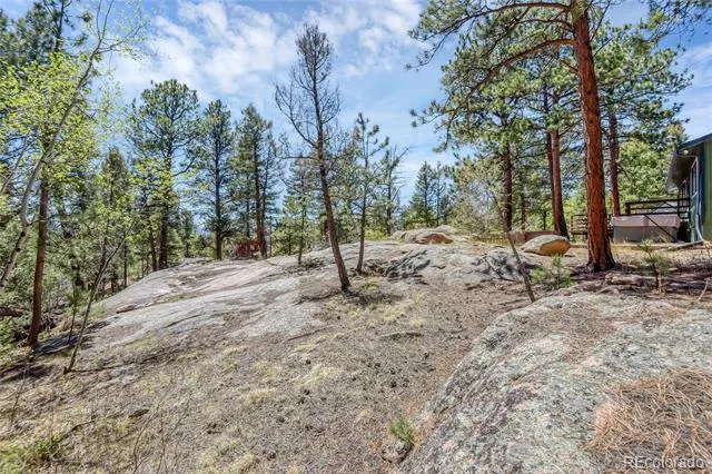 12276 Styve Road Conifer, CO 80433