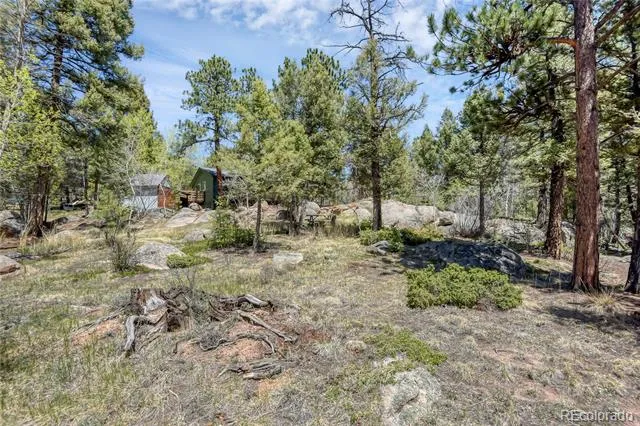 12276 Styve Road Conifer, CO 80433