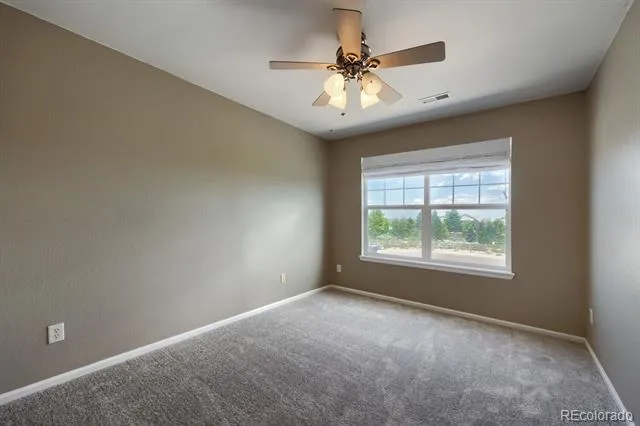 431 Ellendale Street Castle Rock, CO 80104
