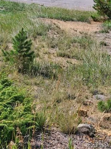 000 Quartz Valley Central City, CO 80427
