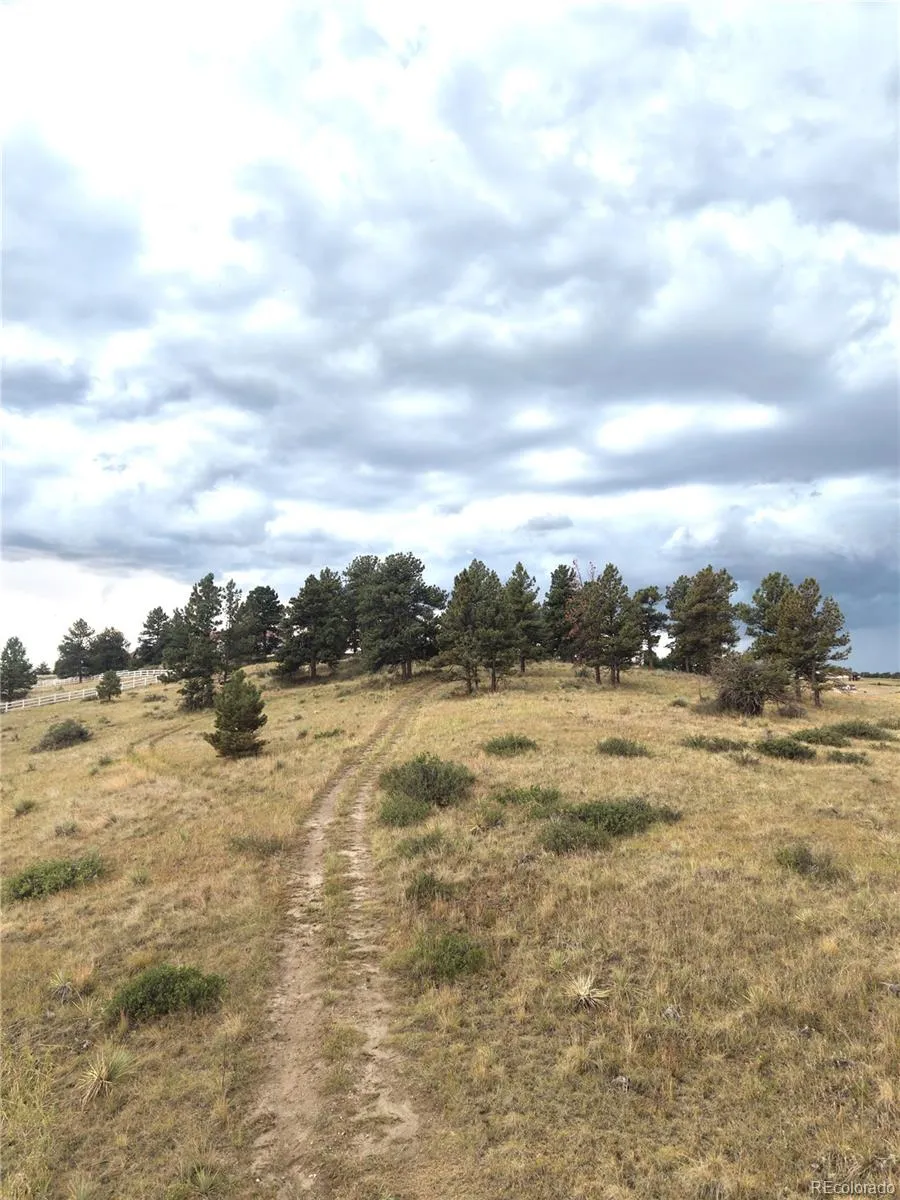 46341 Needleleaf Lane Parker, CO 80138