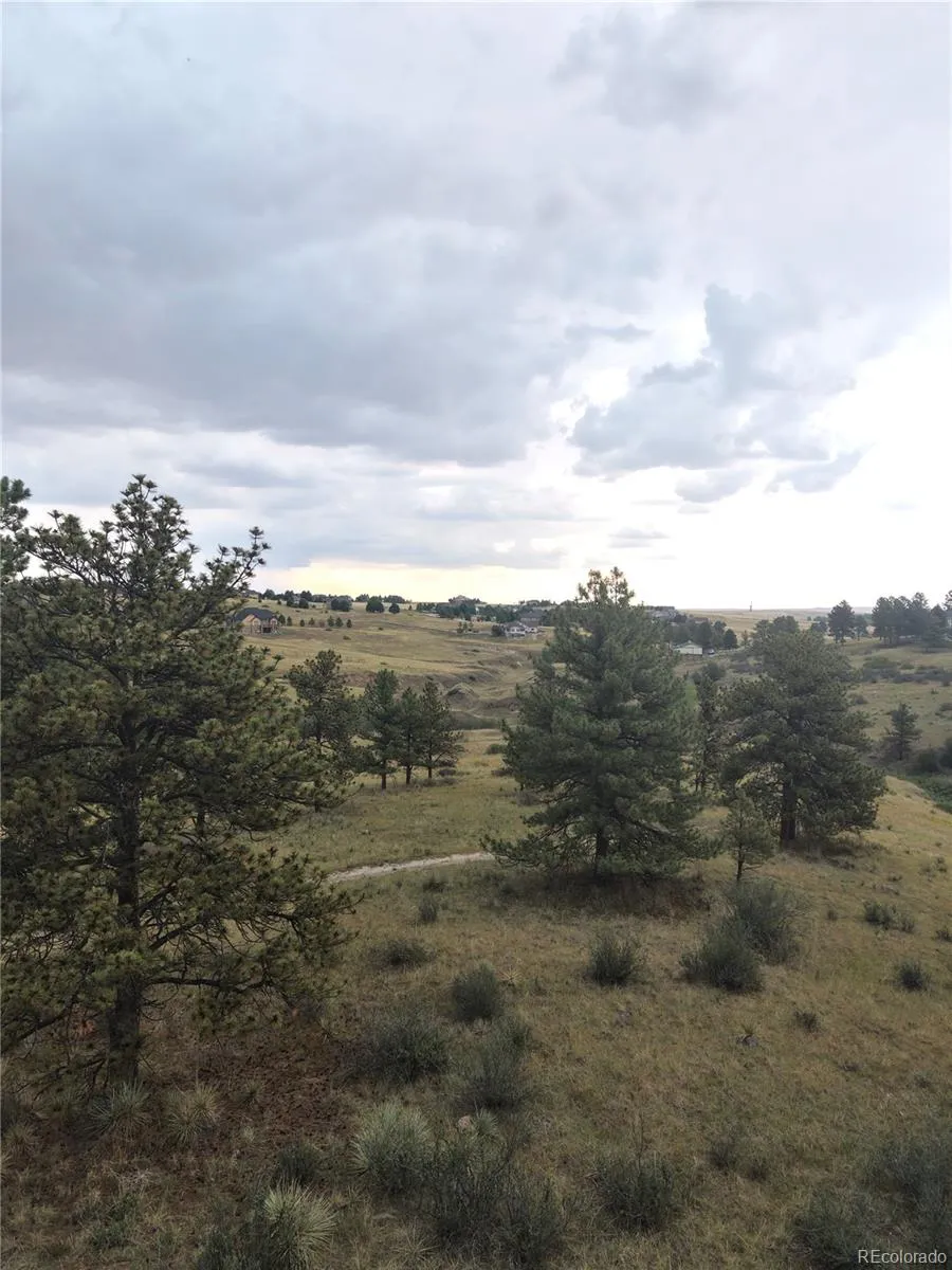 46341 Needleleaf Lane Parker, CO 80138