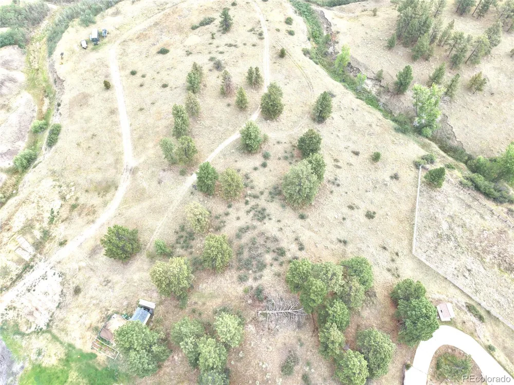 46341 Needleleaf Lane Parker, CO 80138