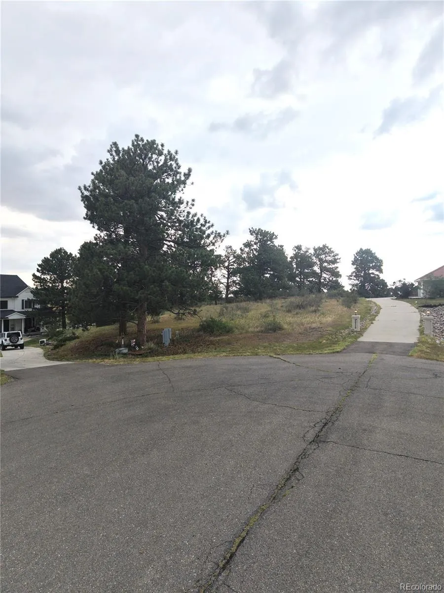 46341 Needleleaf Lane Parker, CO 80138