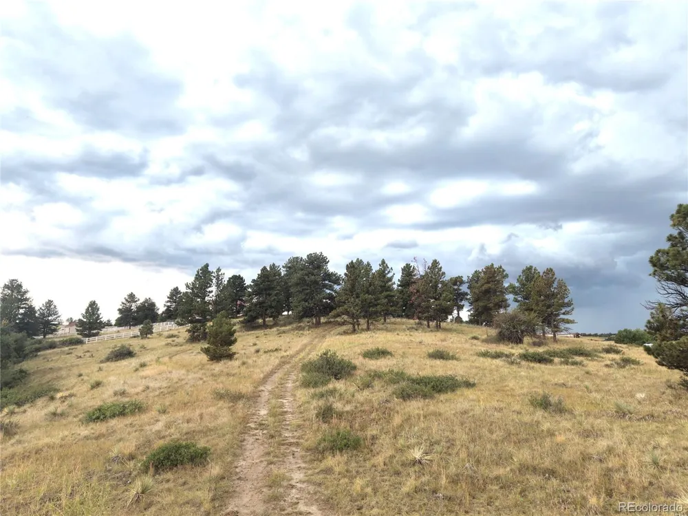 46341 Needleleaf Lane Parker, CO 80138