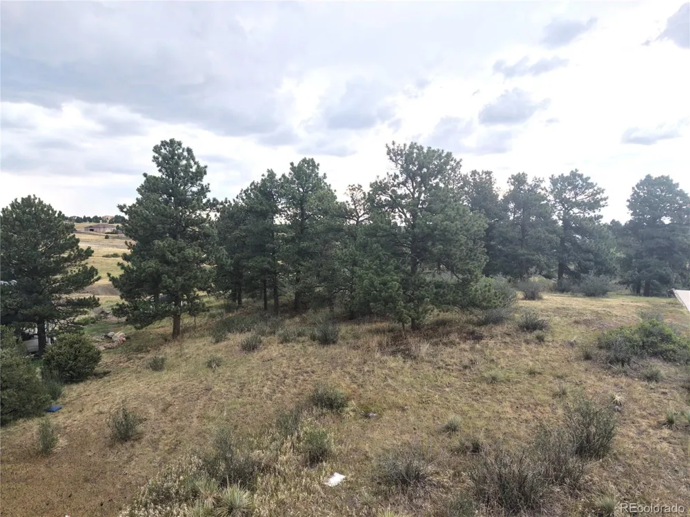 46341 Needleleaf Lane Parker, CO 80138