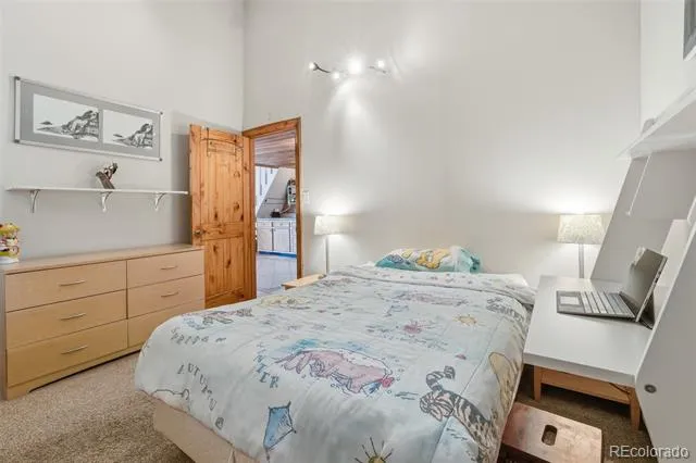 2424 Ryan Gulch Court #304 Silverthorne, CO 80498
