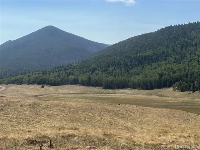 2343 Sigler Drive Fort Garland, CO 81133