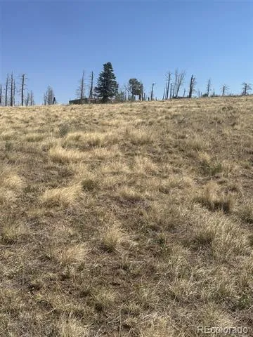 2343 Sigler Drive Fort Garland, CO 81133