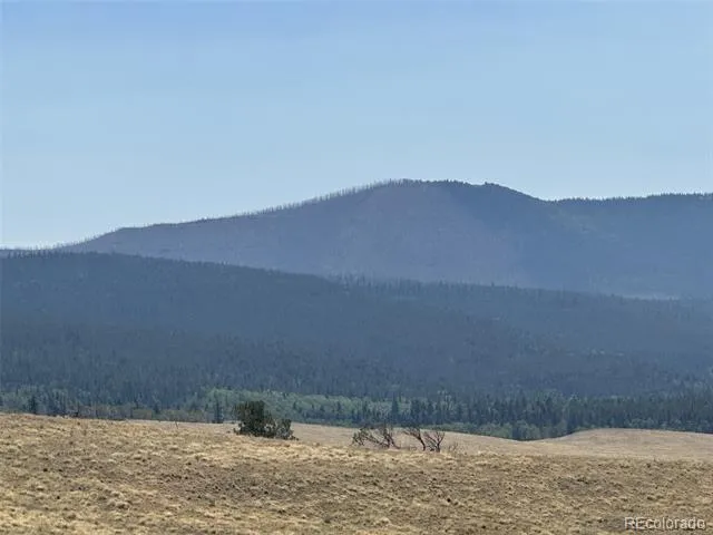 2343 Sigler Drive Fort Garland, CO 81133